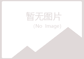 黄山区夏岚建设有限公司